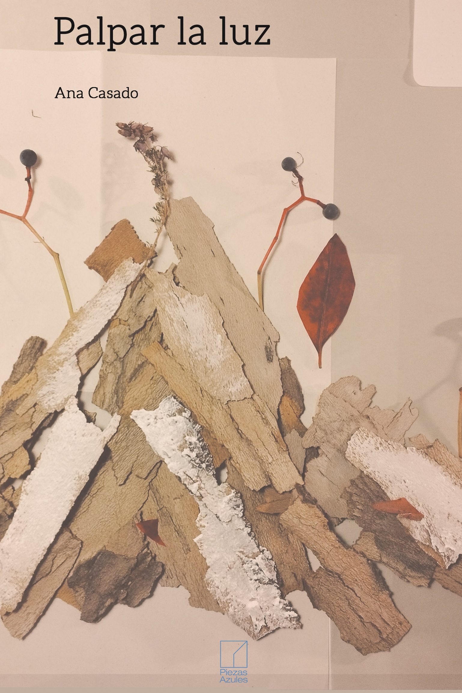 Palpar la luz Poesía Ana Casado
Portada del libro de poesía Palpar la luz de Ana Casado
Poesía Ilustrada