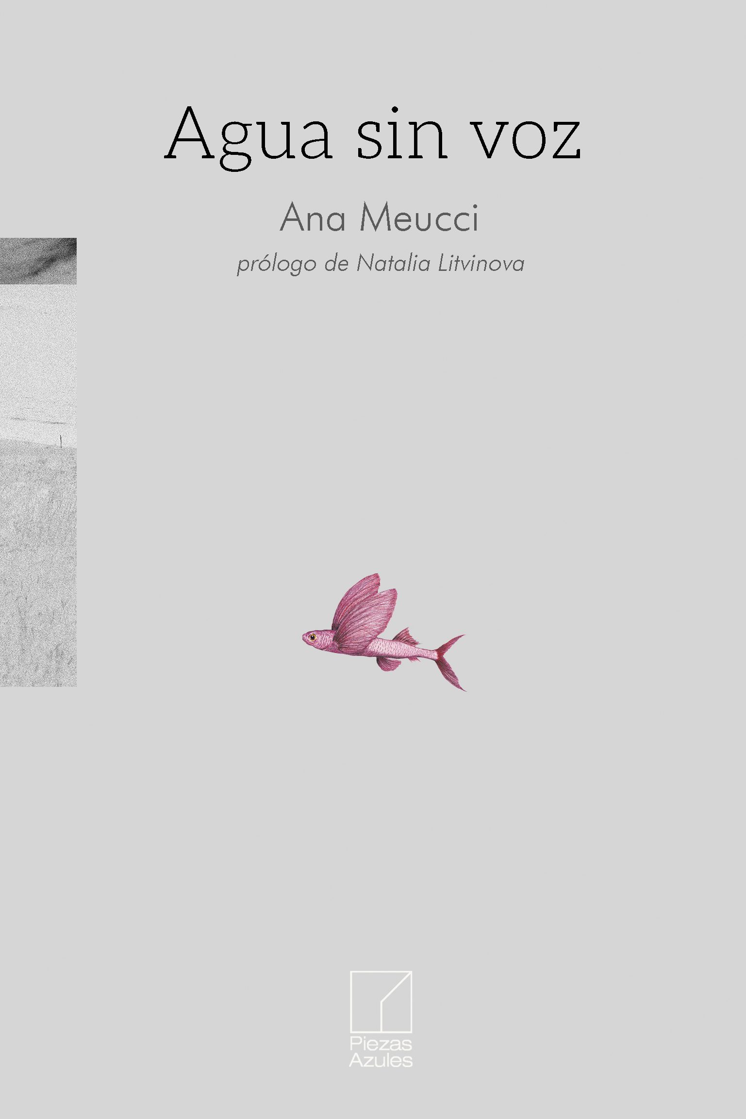 Portada del poemario "Agua sin voz" de Ana Meucci